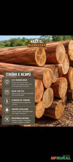Madeiras de Itaúba Imagem Madeiras de Itaúba