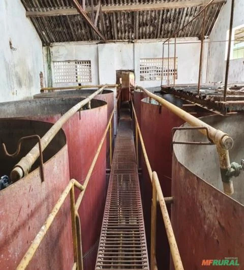 Engenho de cana para produção de cachaça com capacidade 500 ton/dia