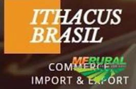 Compro madeiras Teca, Mogno, Pau-de-Balsa, pinus,eucalipto e outras e também exportamos commodities.