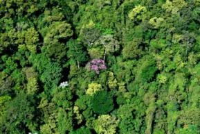 Compensação Ambiental Juquitiba e Nazaré Paulista - Matricula ,CAR, GEO e ITR