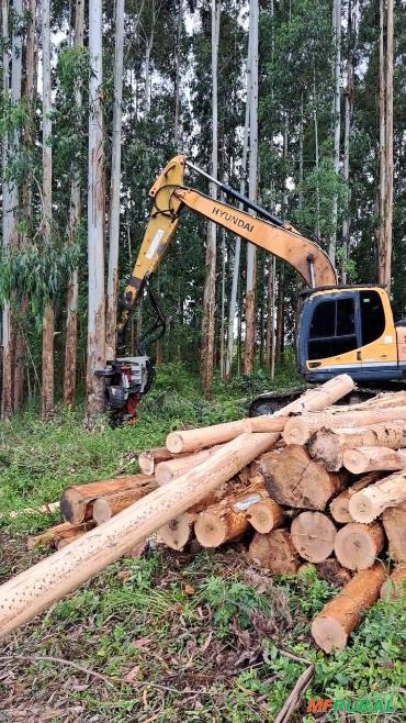 Imagem CABEÇOTE + FORWARDER Imagem CABEÇOTE + FORWARDER