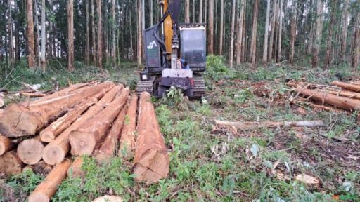 Imagem CABEÇOTE + FORWARDER Imagem CABEÇOTE + FORWARDER