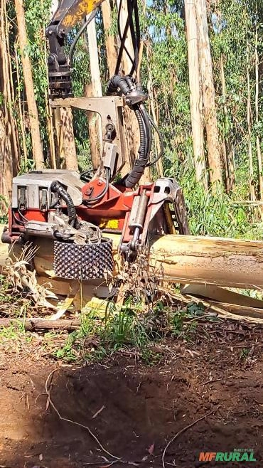 Imagem CABEÇOTE + FORWARDER Imagem CABEÇOTE + FORWARDER