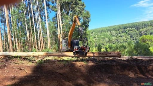 Imagem CABEÇOTE + FORWARDER Imagem CABEÇOTE + FORWARDER