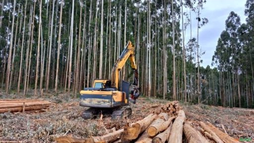 Imagem CABEÇOTE + FORWARDER Imagem CABEÇOTE + FORWARDER