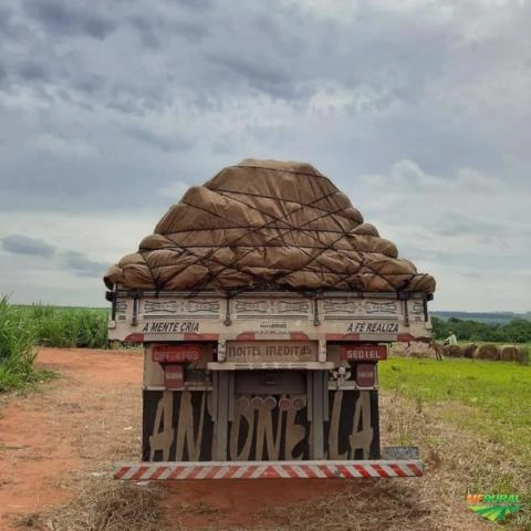 Compro frutas, hortifrut Imagem Compro frutas, hortifrut