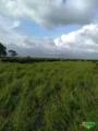 Fazenda no Marajó com 18000 ha