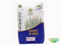 Semente de Sorgo Imagem Semente de Sorgo