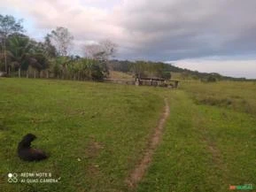 Fazenda no Sul da Bahia