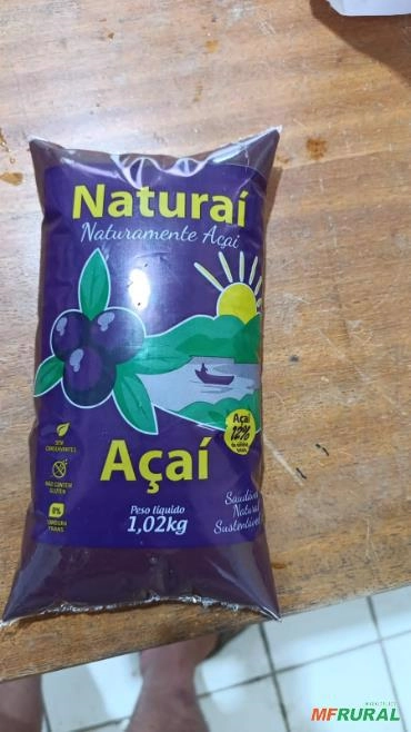 Polpa de Açaí Pura Imagem Polpa de Açaí Pura