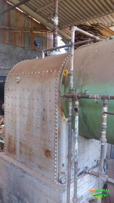 Caldeira e Estufa para Secagem de Madeira Imagem Caldeira e Estufa para Secagem de Madeira