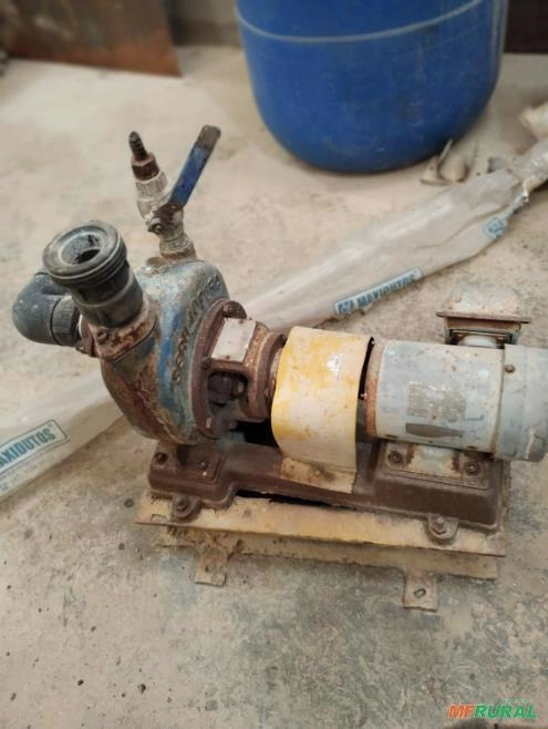 Motor Elétrico Monofásico 400W 220V - Full Electric Imagem Motor Elétrico Monofásico 400W 220V - Full Electric