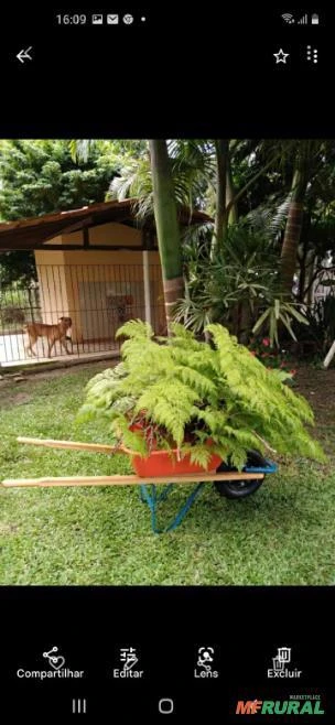 BELÍSSIMO SÍTIO NO INTERIOR DA BAHIA, PERTO DA CAPITAL (1 h 13 min (82,1 km) via BR-324)