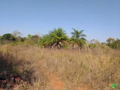 VENDE SE UMA FAZENDA NA REGIÃO RURAL DE ARAGUAINA-TOCANTINS