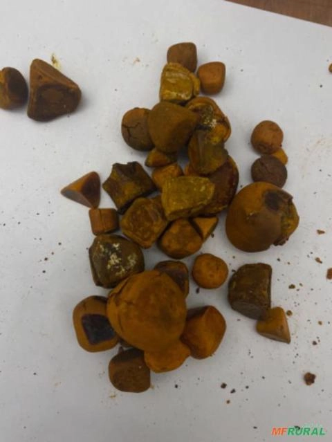 Imagem Compro pedra de fel bovino Imagem Compro pedra de fel bovino