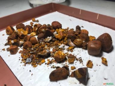 Imagem Compro pedra de fel bovino Imagem Compro pedra de fel bovino