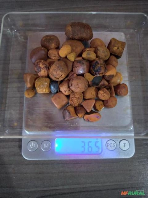 Pedra de Fel Imagem Pedra de Fel