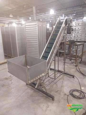 ESTEIRA COM BALANÇA AUTOMÁTICA PARA ENVASAMENTO DE FRUTAS E LEGUMES Imagem ESTEIRA COM BALANÇA AUTOMÁTICA PARA ENVASAMENTO DE FRUTAS E LEGUMES