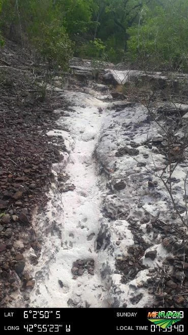 IMÓVEL RURAL COM CAULIM 600 HA - PIAUÍ - REGIÃO TERESINA