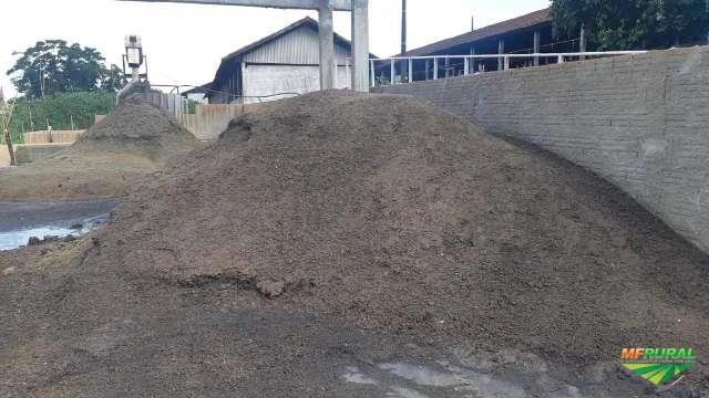 Esterco orgânico Imagem Esterco orgânico