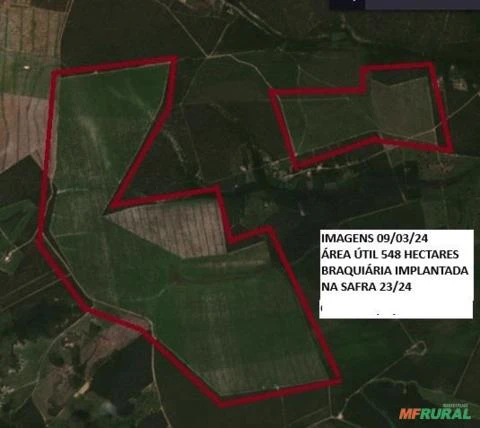Fazenda A VENDA pronta para plantio em Balsas/MA com 796 ha, ou opção de 1.926ha, R$ 15.000/ha