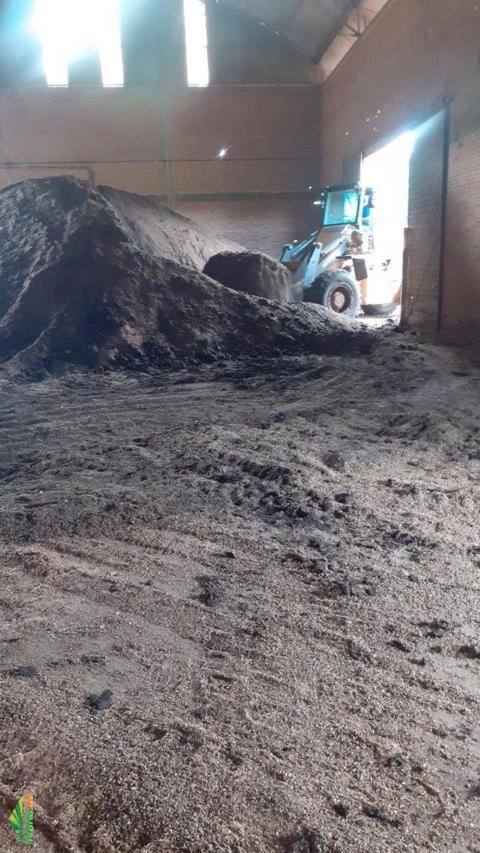 Esterco de Galinha Imagem Esterco de Galinha