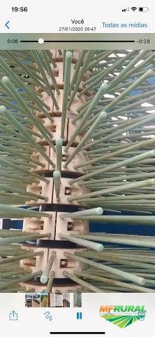 Imagem Colar duplo nylon Imagem Colar duplo nylon