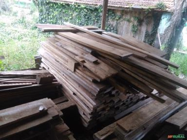 Imagem Madeira de Marfim Imagem Madeira de Marfim