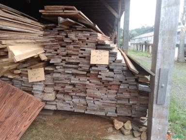 Madeira de Ipê Champagne Imagem Madeira de Ipê Champagne