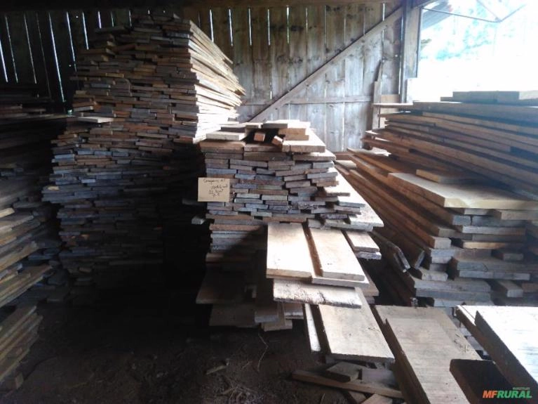 Madeira de cerejeira Imagem Madeira de cerejeira