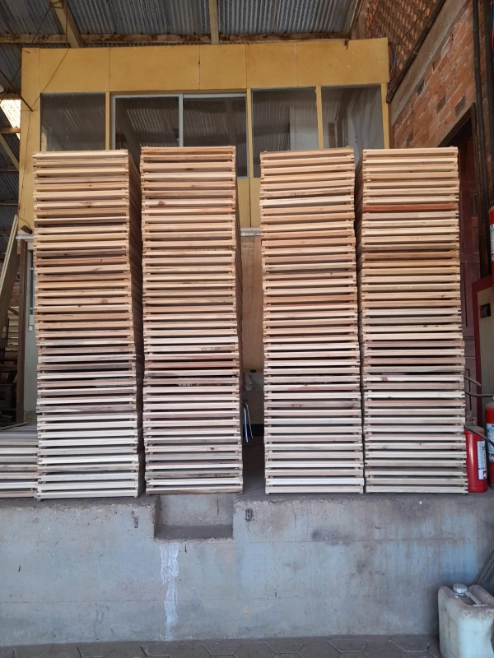 Tela para secagem de massa Imagem Tela para secagem de massa