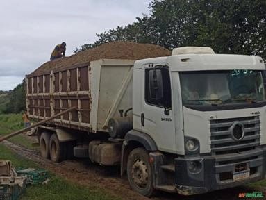 Cama de frango Imagem Cama de frango