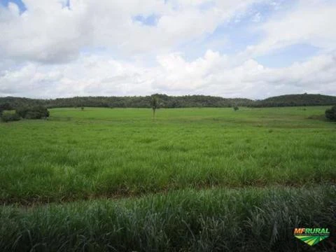 Fazenda no Maranhão