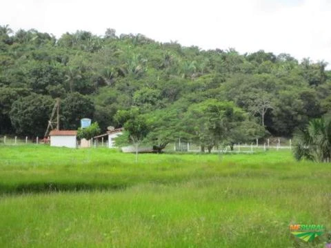 Fazenda no Maranhão
