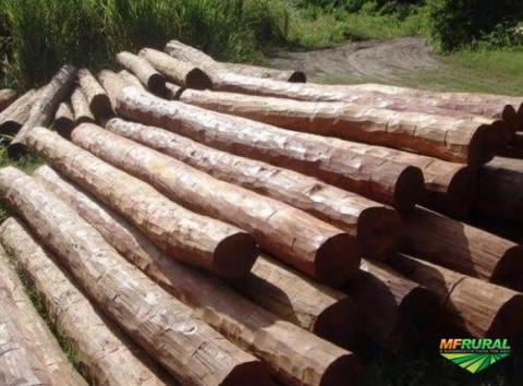 Mourão de aroeira a venda Imagem Mourão de aroeira a venda