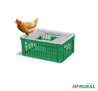 COMPRAMOS SUCATA/ DESCARTE DE CAIXAS E GAIOLAS PLÁSTICAS PARA TRANSPORTE DE FRANGO Imagem COMPRAMOS SUCATA/ DESCARTE DE CAIXAS E GAIOLAS PLÁSTICAS PARA TRANSPORTE DE FRANGO