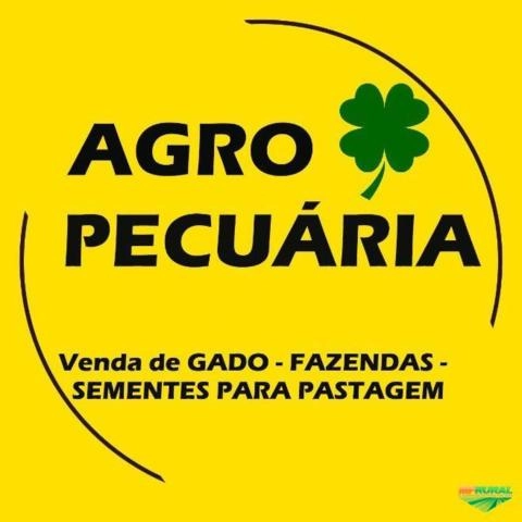 Venda de FAZENDAS em MS, GADO e SEMENTES PARA PASTAGEM. Imagem Venda de FAZENDAS em MS, GADO e SEMENTES PARA PASTAGEM.