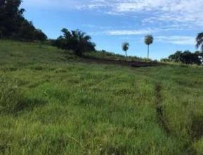 Vendo Fazenda de 2567 ha na região de Rondonópolis - MT
