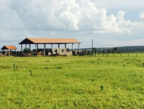 Vendo Fazenda com 1005 hectares /  415.2 alqueires (2.42 ) região Campo Grande-MS  R$42.000.000,00
