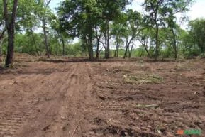 Fazenda a venda  no Pantanal-Nhecolãndia com 10.640 HA Pecuária e Turismo