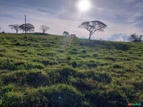 VENDO EXCELENTE FAZENDA COM 1.210 HECTARES MONTADA EM  PECUÁRIA NA REGIÃO DE N. BRASILANDIA-MT