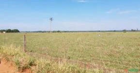 VENDO EXCELENTE FAZENDA COM  600 HECTARES -  DUPLA APTIDA  NA REGIÃO DE ANAURILÃNDIA- MS