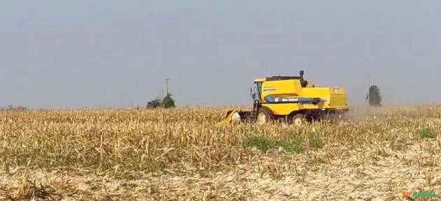 VENDO EXCELETE FAZENDA DE LAVOURA COM 267HECTARES EM NOVA ALVORADA DO SUL -MS