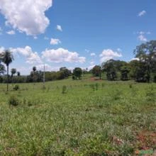 VENDO EXCELENTE FAZENDA DE PECUÁRIA COM 708 HECTARES A 28 KM DE CORUMBÁ-MS