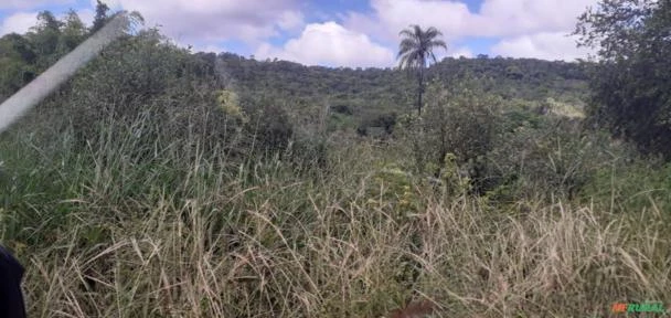 VENDO FAZENDA PARA PECUÁRIA COM 1.170 HECTARES NA REGIÃO DE FIGUEIRÃO -MS