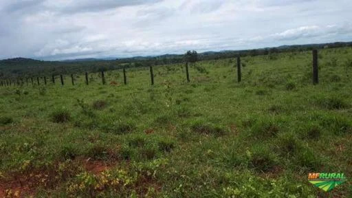 FAZENDA EM JAUPACÍ