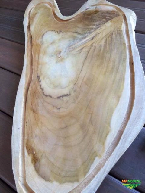 Imagem Compro Madeiras de Demolição, de Lei e Reflorestamento. Imagem Compro Madeiras de Demolição, de Lei e Reflorestamento.