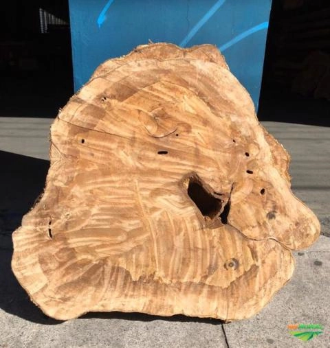 Imagem Compro Madeiras de Demolição, de Lei e Reflorestamento. Imagem Compro Madeiras de Demolição, de Lei e Reflorestamento.