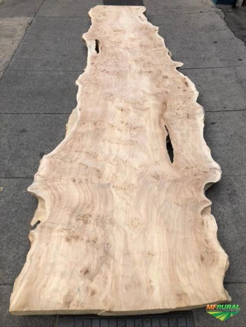 Imagem Compro Madeiras de Demolição, de Lei e Reflorestamento. Imagem Compro Madeiras de Demolição, de Lei e Reflorestamento.