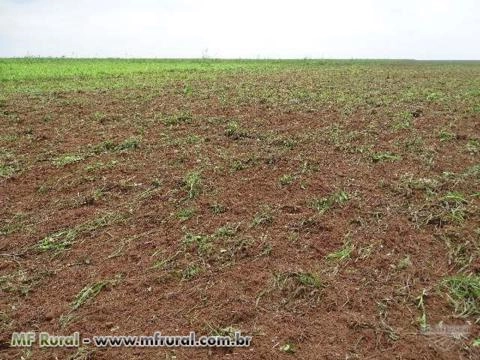 Imagem Corrente Niveladora com Discos e Facas Imagem Corrente Niveladora com Discos e Facas